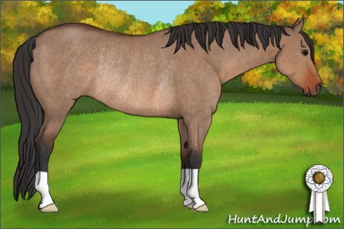 Horse Color: Bay Dun Rabicano 