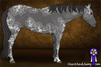 Horse Color:Smoky Black Ice 