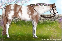 Horse Color:White Spotted Chestnut Sabino
