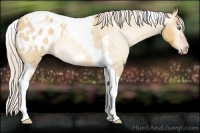 Horse Color:Gray Silver Amber Cream Champagne Roan Dun Splash Tobiano Frame Blanket Rabicano 