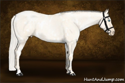 Horse Color:White Spotted Silver Smoky Grullo Ice Pearl 