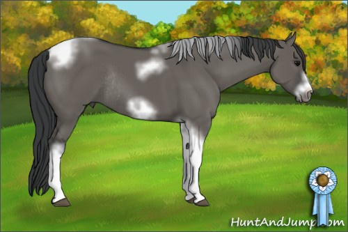 Horse Color: Grullo Sabino Tobiano Frame Rabicano 