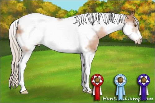 Horse Color: Silver Black Pearl Sabino Tobiano Frame 