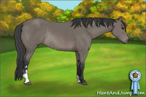 Horse Color: Black Sabino Rabicano 