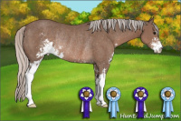 Horse Color:Silver Black Sabino Rabicano 