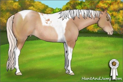 Horse Color: Silver Brown Pearl Tobiano Rabicano 