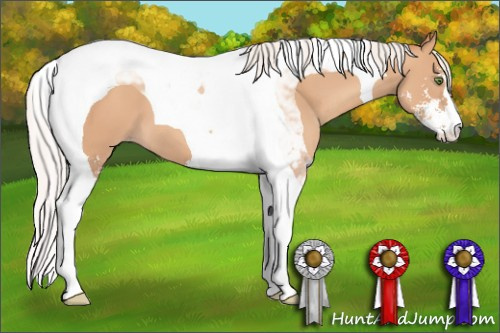 Horse Color: Silver Classic Champagne Sabino Tobiano 