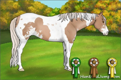 Horse Color: Silver Black Pearl Sabino Tobiano 