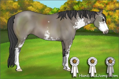Horse Color: Grullo Sabino 