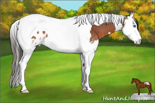 Horse Color: White Spotted Bay Splash Tobiano Blanket 
