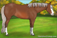 Horse Color:Silver Bay Splash 