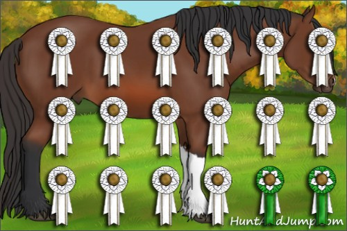 Horse Color: Bay 