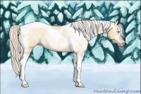 Horse Color:Gray Silver Amber Cream Champagne Roan Dun Splash Tobiano Frame Blanket Rabicano 