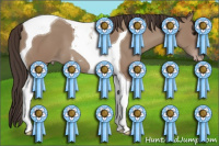 Horse Color:Classic Champagne Tobiano 