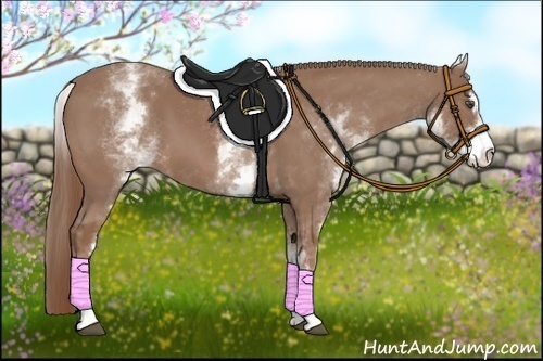 Horse Color:White Spotted Chestnut Sabino 