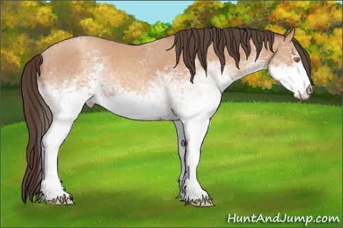 Horse Color: White Spotted Amber Champagne 
