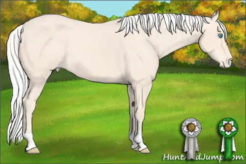 Horse Color: Silver Perlino Varnish 