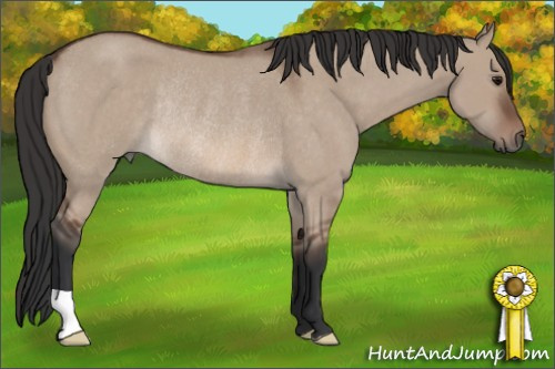 Horse Color: Brown Roan Dun Rabicano 