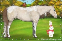 Horse Color:Grullo Pearl Sabino Splash Tobiano 
