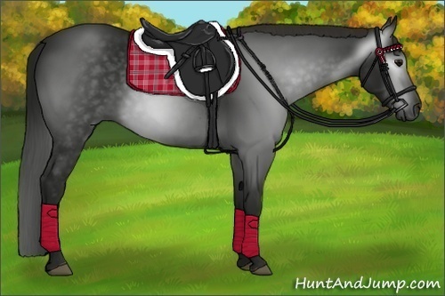 Horse Color:Gray Smoky Black 