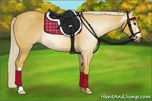 Horse Color:Gray Palomino