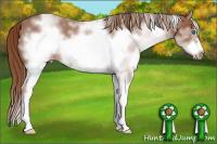 Horse Color:White Spotted Liver Red Roan Splash Frame 