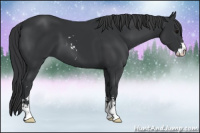 Horse Color:Black Sabino