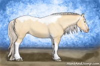 Horse Color:Gray Silver Amber Cream Champagne Roan Dun Splash Tobiano Frame Appaloosa Rabicano 