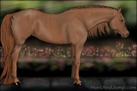 Horse Color:Chestnut Brindle