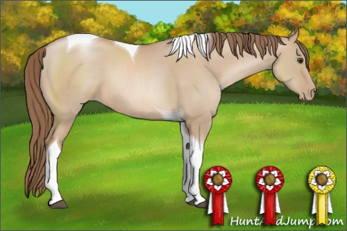 Horse Color: Grullo Pearl Sabino Tobiano 