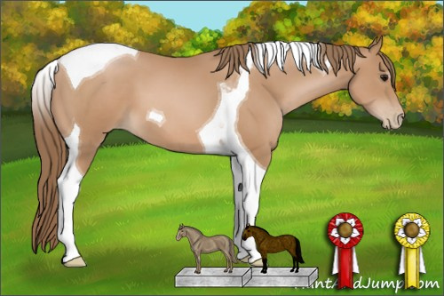 Horse Color: Black Pearl Tobiano 