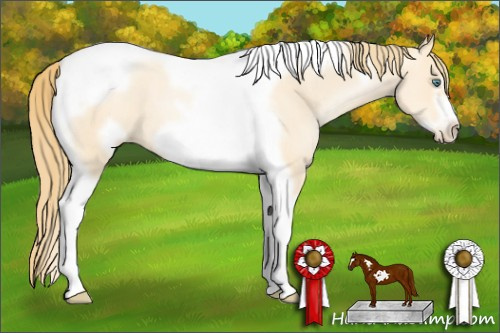 Horse Color: Smoky Grullo Pearl Tobiano Frame 