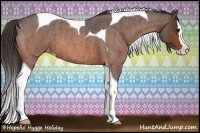 Horse Color:Bay Roan Splash Tobiano Varnish  Brindle