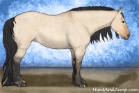 Horse Color:Bay Roan Dun  Brindle
