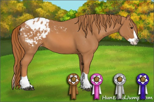 Horse Color: Chestnut Splash Blanket 