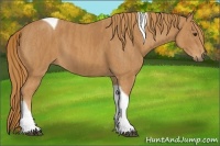 Horse Color:Chestnut Tobiano  Brindle