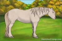 Horse Color:Smoky Creme 