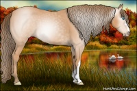 Horse Color:Gray Perlino 