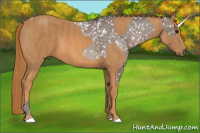 Horse Color:White Spotted Silver Black Ice Appaloosa  Brindle