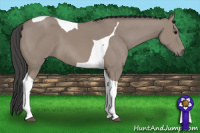 Horse Color:Grullo Tobiano