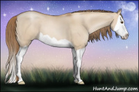 Horse Color:Grullo Pearl Splash 