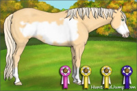Horse Color:Gold Cream Champagne Frame 