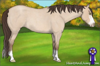 Horse Color:Amber Champagne Roan Dun Splash Frame Rabicano