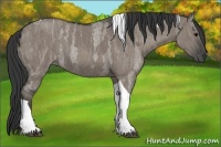 Horse Color:Grullo Roan Tobiano  Brindle