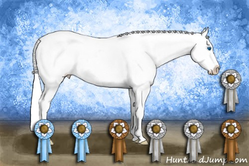 Horse Color: Chestnut Splash Near Leopard 