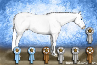 Horse Color:Chestnut Splash Appaloosa 