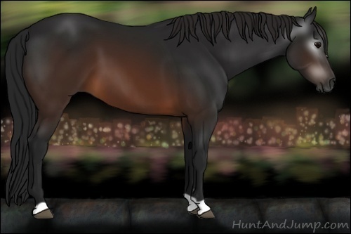 Horse Color:Gray Brown 