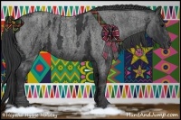 Horse Color:Blue Roan Splash  Brindle