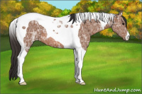 Horse Color:Bay Ice Tobiano