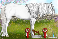 Horse Color:White Spotted Silver Bay Splash Appaloosa 